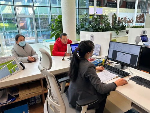 大年三十我在崗 服務質量您點贊 北京全市不動產登記中心暖心回顧